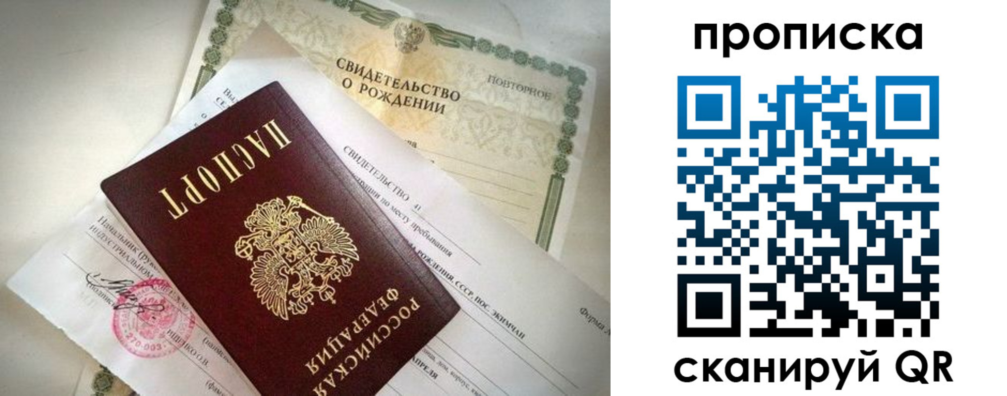 прописка гарантия в Стародубе