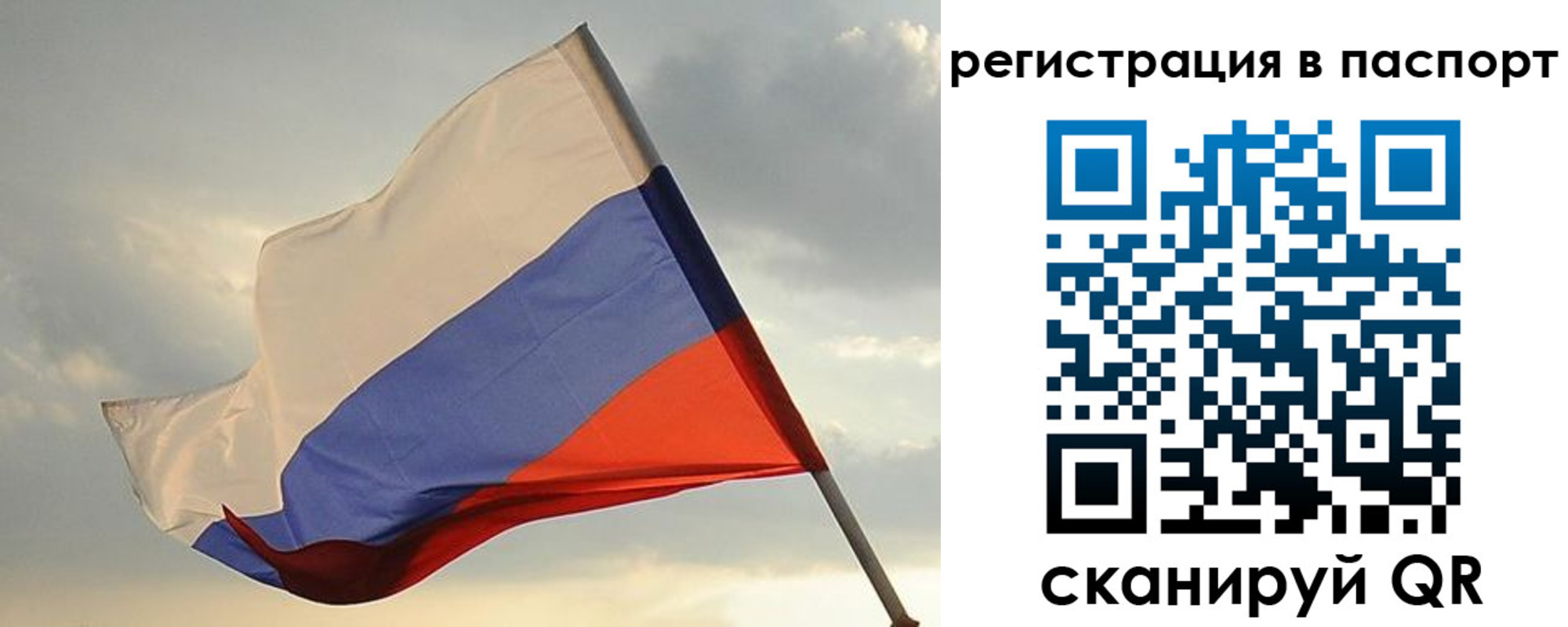 форма 3 в Стародубе